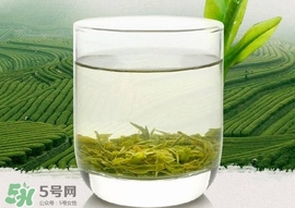 如何鑒別信陽(yáng)毛尖好壞？信陽(yáng)毛尖品鑒十步法