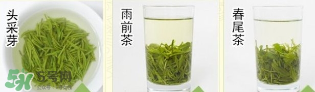 信陽(yáng)毛尖什么牌子好？信陽(yáng)毛尖哪個(gè)品牌好