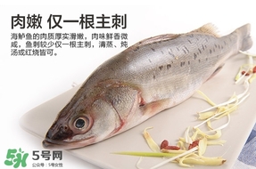 鱸魚是海鮮嗎？鱸魚是不是海鮮？