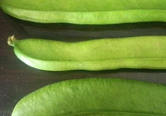 刀豆是四季豆嗎？刀豆和四季豆的區(qū)別