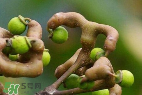 萬壽果多少錢一斤2017？萬壽果什么時候成熟