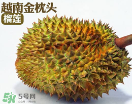 紅心榴蓮多少錢一斤？紅心榴蓮為什么這么貴？