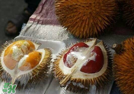 紅心榴蓮多少錢一斤？紅心榴蓮為什么這么貴？