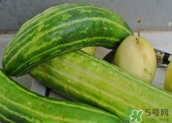 菜瓜到底是不是黃瓜？ 菜瓜和黃瓜的區(qū)別
