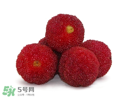 吃完楊梅不能吃什么？吃完楊梅可以吃別的水果嗎？