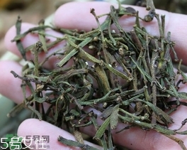 螃蟹腳茶哪些人不能喝？螃蟹腳茶哪些人能喝