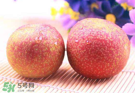 紅心李子孕婦可以吃嗎？紅心李子營(yíng)養(yǎng)價(jià)值