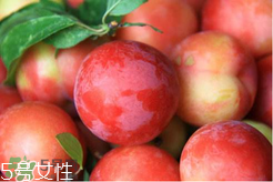 ?楊梅和李子能一起吃嗎？楊梅和李子一起吃會(huì)中毒嗎？