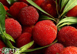 ?楊梅和李子能一起吃嗎？楊梅和李子一起吃會(huì)中毒嗎？