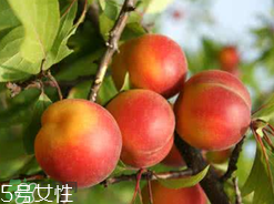 ?楊梅和李子能一起吃嗎？楊梅和李子一起吃會(huì)中毒嗎？