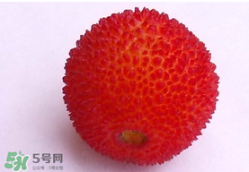楊梅籽可以吃嗎？吃楊梅籽有什么好處？