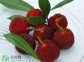 楊梅籽可以吃嗎？吃楊梅籽有什么好處？