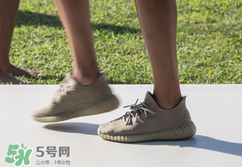 adidas yeezy 350 boost v2 dark green椰子350大地綠多少錢？