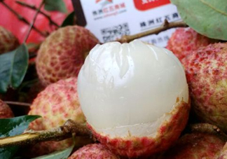 白糖罌荔枝怎樣保果的？白糖罌荔枝和白蠟的區(qū)別