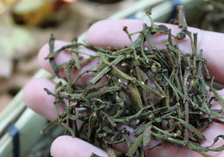 螃蟹腳茶哪些人不能喝？螃蟹腳茶哪些人能喝