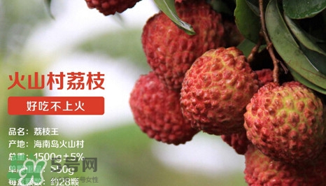 荔枝王是什么品種？荔枝王多少錢一斤2017？