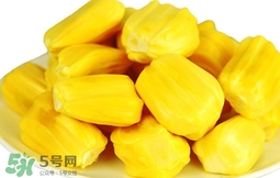 菠蘿蜜軟了還能吃嗎？菠蘿蜜軟了怎么辦？