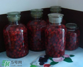 泡楊梅酒用什么瓶子？楊梅酒可以用塑料瓶泡嗎？