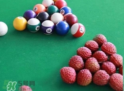 荔枝王的產(chǎn)地是哪里？荔枝王產(chǎn)地在哪兒