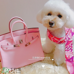 hermes birkin怎么看真假？愛馬仕鉑金包真假鑒別