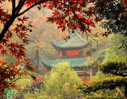 7月份去長(zhǎng)沙穿什么？七月份去長(zhǎng)沙穿什么衣服