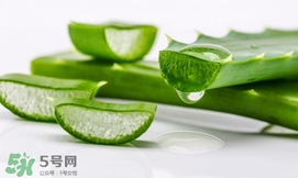 蘆薈面膜要敷多久？蘆薈面膜多久敷一次