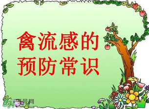 6月有禽流感嗎？2017年6月有禽流感嗎？