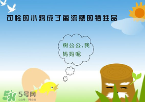 6月有禽流感嗎？2017年6月有禽流感嗎？