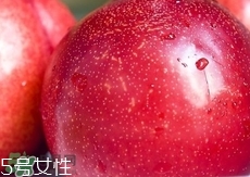 桃駁李是轉(zhuǎn)基因嗎？桃駁李是不是轉(zhuǎn)基因