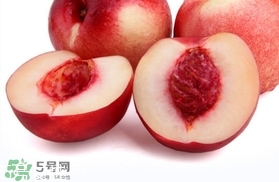 桃駁李是油桃嗎？桃駁李和油桃的區(qū)別