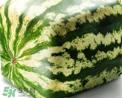 方形西瓜是如何種出來的？方形西瓜是怎么長成的