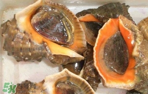 海螺是發(fā)物嗎？海螺是不是發(fā)物