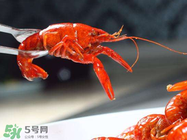 潛江小龍蝦有什么特色？潛江龍蝦節(jié)是每年什么時候？ 