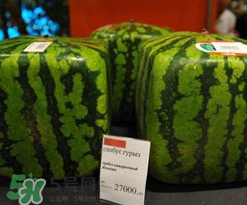 方形西瓜哪里有賣的？哪里可以買到方形西瓜