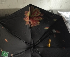 蕉下小黑傘能遮雨嗎？蕉下太陽傘能淋雨嗎？