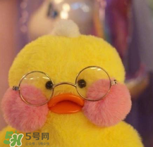 cafemimi玻尿酸鴨哪里有？cafemimi玻尿酸鴨怎么買？