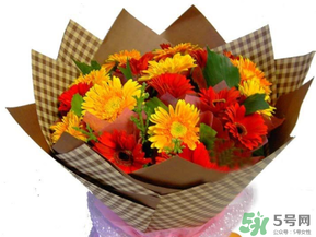 父親節(jié)可以送花嗎？父親節(jié)送什么花最合適？