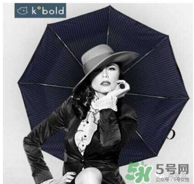 Kobold是假洋品牌么？Kobold是什么牌子是德國的嗎？