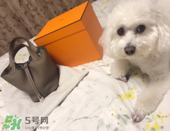 菜籃子包是什么牌子？菜籃子包是哪個(gè)品牌的？