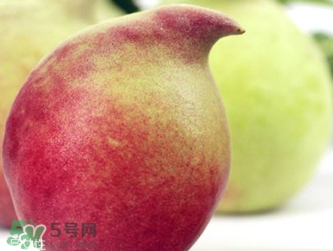 鷹嘴桃種植應(yīng)注意哪些？鷹嘴桃什么時(shí)間修剪