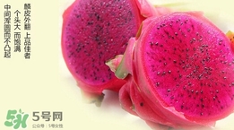 紅心火龍果對人體有哪些好處？紅心火龍果的禁忌