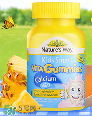 Nature's Way好嗎 Nature's Way保健品怎么樣？