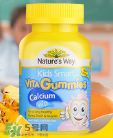 Nature's Way好嗎 Nature's Way保健品怎么樣？