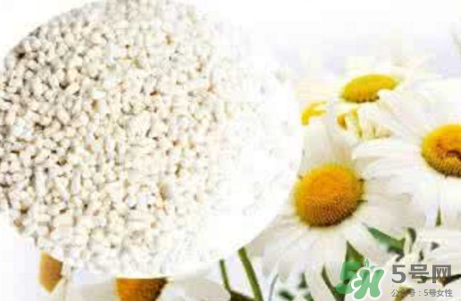 菊花晶是熱性還是涼性？菊花晶嬰兒可以喝嗎？