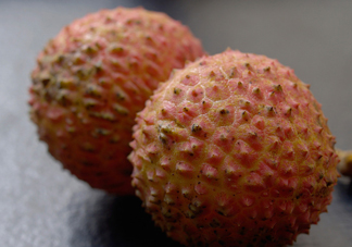 桂味荔枝和妃子笑哪個(gè)好吃？桂味荔枝和妃子笑區(qū)別