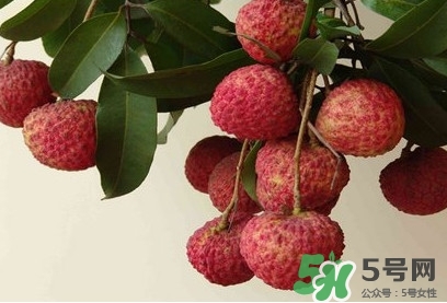 糯米糍荔枝多少錢(qián)一斤2017？糯米糍荔枝市場(chǎng)價(jià)格