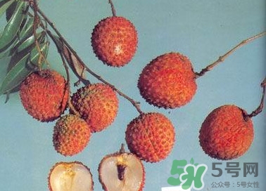 糯米糍荔枝產(chǎn)地是哪里？糯米糍荔枝上火嗎