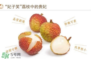 貴妃荔枝是哪里的？貴妃荔枝的產(chǎn)地是哪里