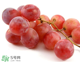 提子上的白色是什么？提子外面白色的是什么？