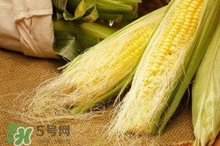 玉米須水什么人不能喝？玉米須煮水小孩能喝嗎？